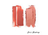 SHE`S BLUSHING DOUBLE TAKE DUO BLUSH PATRICK TA FOR FACE - PATRICK TA 