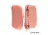 NOT TOO MUCH DOUBLE TAKE DUO BLUSH PATRICK TA FOR FACE PALET