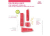 BRILLIANCE SHAMPOO 250ML - WELLA BRILLIANCE SHAMPOO 250ML - WELLA