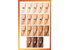 310 SUPER STAY 24H SKIN TINT BASE MAYBELLINE