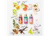 PARAISO BODY MIST JULIANA PAES – PERFUME CORPORAL - 200ML PARAISO BODY MIST JULIANA PAES – PERFUME CORPORAL - 200ML