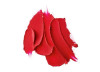 LASTING PASSION BATOM MAC  LASTING PASSION BATOM MAC