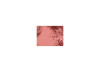 PINCH ME BLUSH MAC  PINCH ME BLUSH MAC