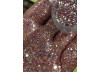 GLITTER KENNEDY - USEGLOW GLITTER KENNEDY - USEGLOW