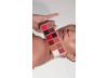PALETA BATONS WISH BOLD HARMONY - ESSENTIAL LIP CREAM MICHELLY PALMA