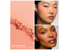 DID YOU NOTICE BLUSH DUO PATRIC TA 