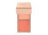 DID YOU NOTICE BLUSH DUO PATRIC TA 