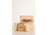 LINO DORATO - PÓ AVELUDADO MICHELLY PALMA - WISH PRO VELLUTO PURE POWDER 16G 
